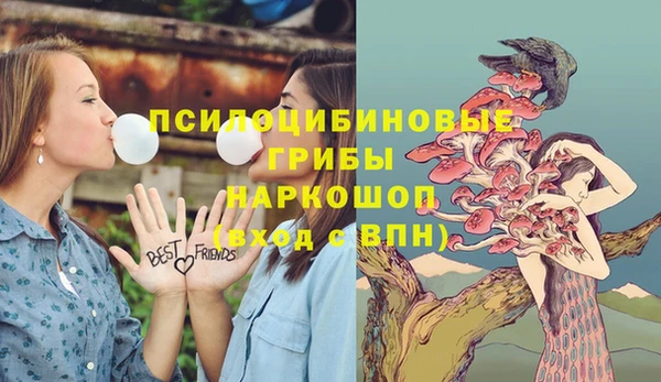 ГАЛЛЮЦИНОГЕННЫЕ ГРИБЫ Алексин