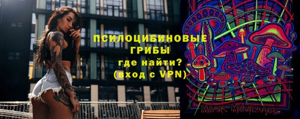 ГАЛЛЮЦИНОГЕННЫЕ ГРИБЫ Алексин