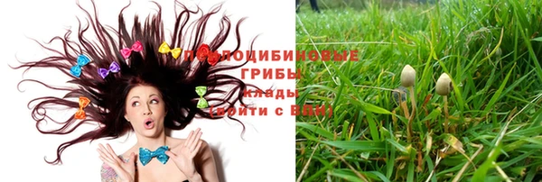 соль ск Алексеевка