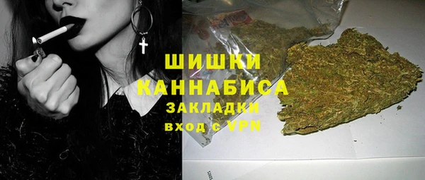 ГАЛЛЮЦИНОГЕННЫЕ ГРИБЫ Алексин