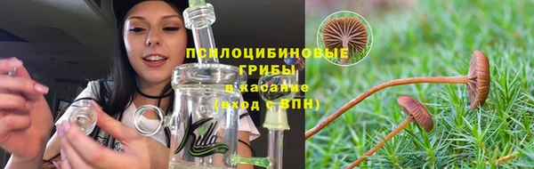 ГАЛЛЮЦИНОГЕННЫЕ ГРИБЫ Алексин
